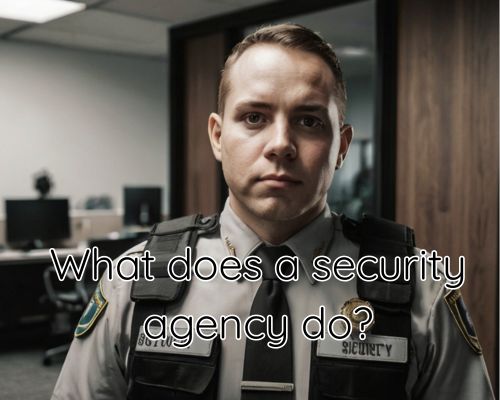 an officer in a security agency